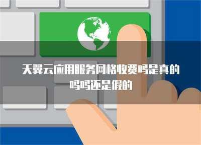 應(yīng)用服務(wù)網(wǎng)格 性價(jià)比與安全性的全面解析