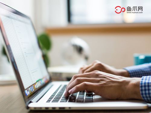 打破傳統(tǒng)，聚焦個(gè)體 從魚(yú)爪網(wǎng)看個(gè)人互聯(lián)網(wǎng)服務(wù)的品牌發(fā)展新路徑